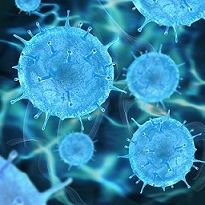 Guía de tramitación del parte de baja caso de contagio por Coronavirus 